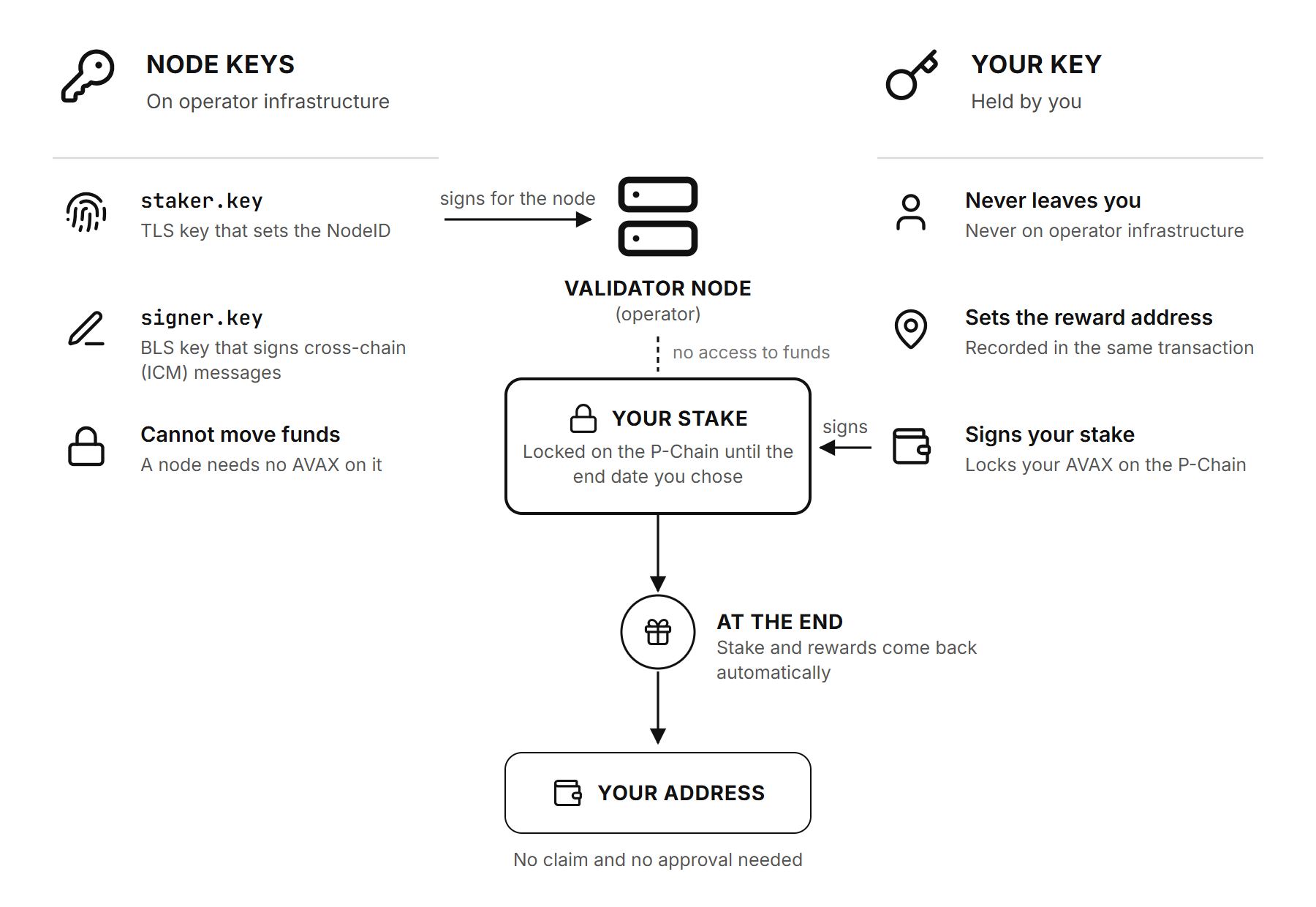 Die Keys des Nodes betreiben den Validator auf dem Rechner des Betreibers, während der eigene Key des Stakers den Stake auf der P-Chain sperrt, von wo er automatisch an die Adresse des Stakers zurückgeht